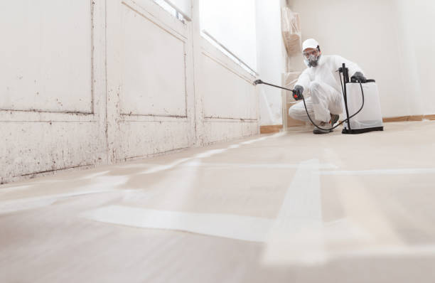 Black mold remediation team in Buies Creek
